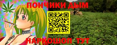 прущие грибы Сланцы