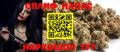 прущие грибы Сланцы